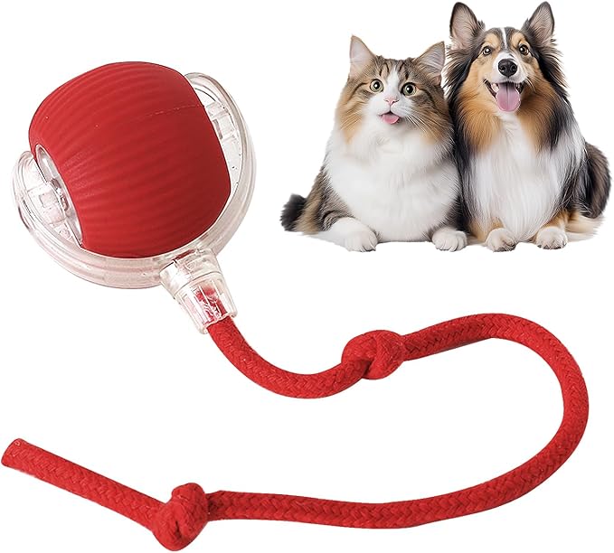 Gatosball, brinquedo interativo para animais de estimação