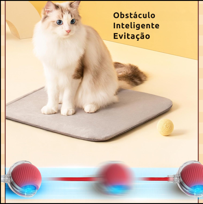 Gatosball, brinquedo interativo para animais de estimação