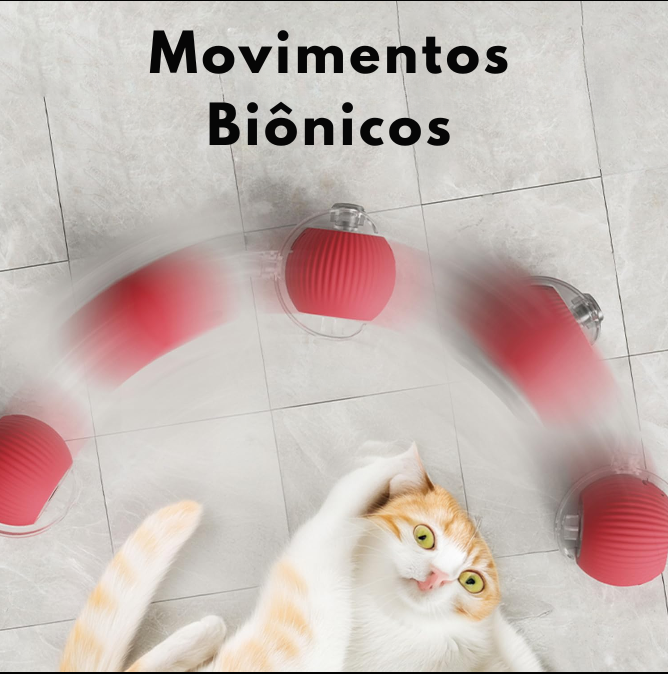 Gatosball, brinquedo interativo para animais de estimação