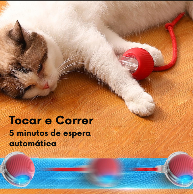 Gatosball, brinquedo interativo para animais de estimação