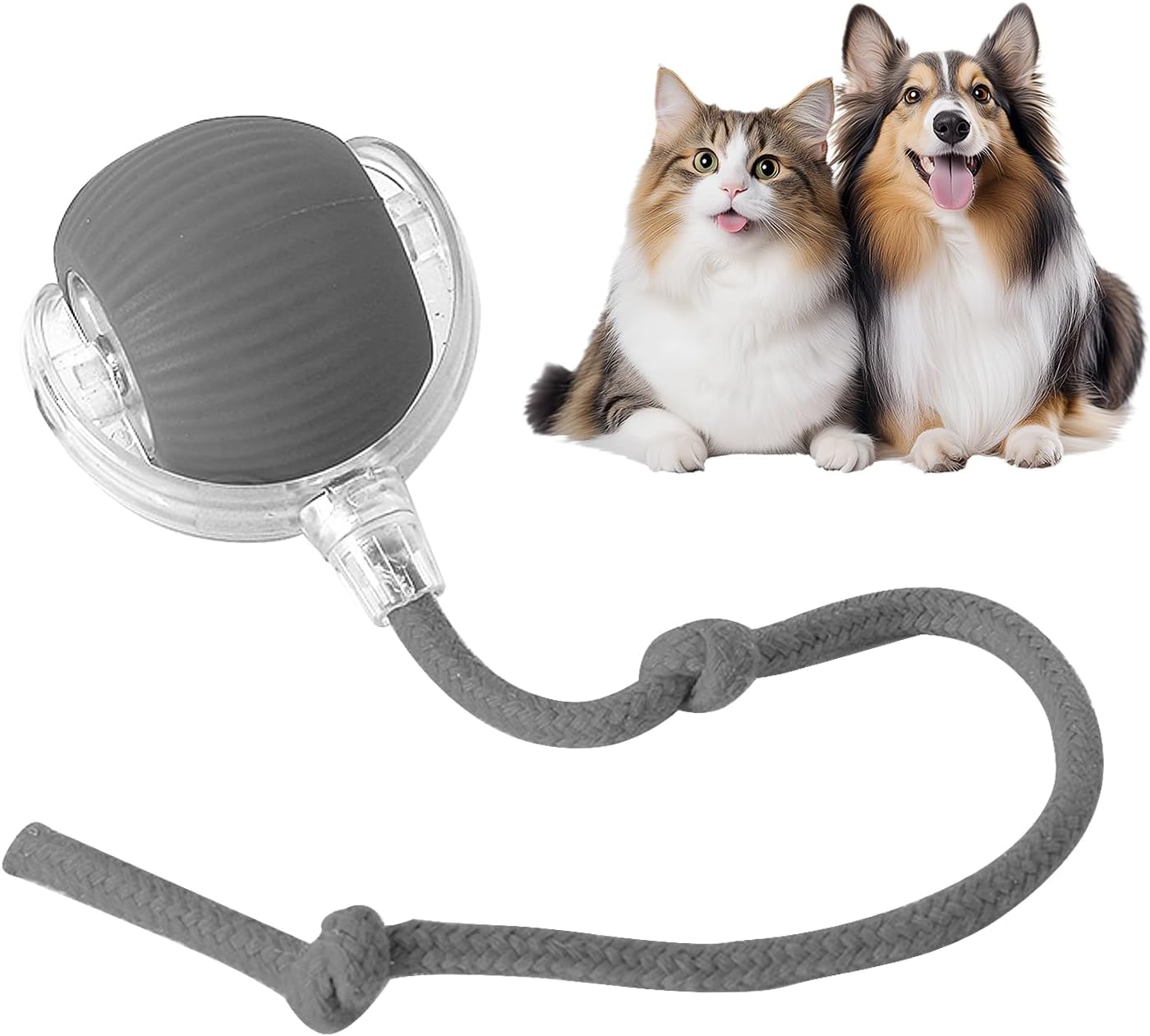 Gatosball, brinquedo interativo para animais de estimação