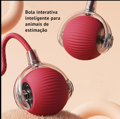 Gatosball, brinquedo interativo para animais de estimação