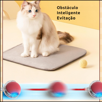 Gatosball, brinquedo interativo para animais de estimação